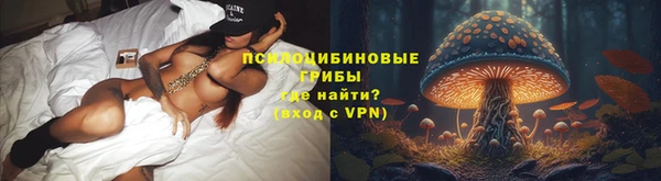прущие грибы Алексеевка