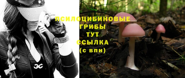 героин Алзамай