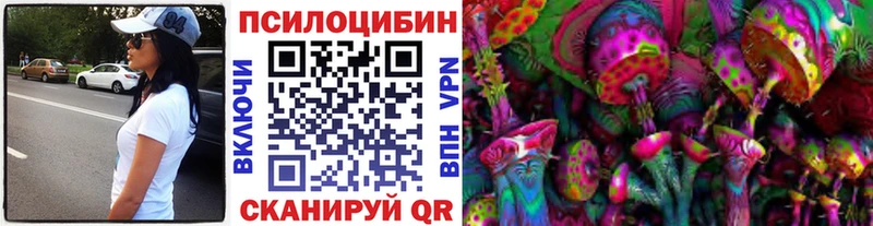 Псилоцибиновые грибы прущие грибы  где продают наркотики  Камызяк 
